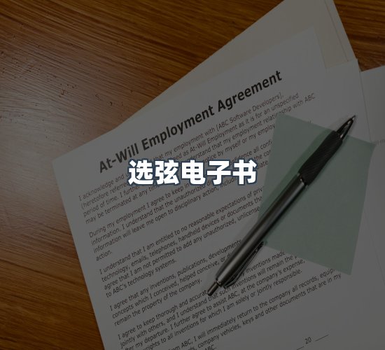 关于选弦电子书